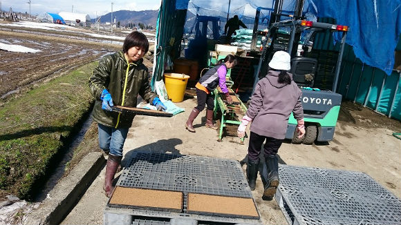 農作業のお手伝い・ボランティアをして頂ける方を募集